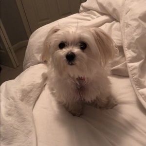 Meet your Posher, Leslie